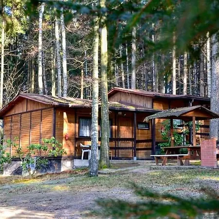 Osrodek Lesny Rajsko W Zapuscie Zapusta