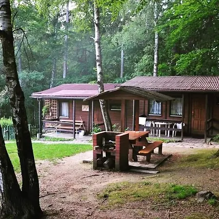 Osrodek Lesny Rajsko W Zapuscie Zapusta