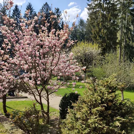 Osrodek Lesny Rajsko W Zapuscie Campeggio *