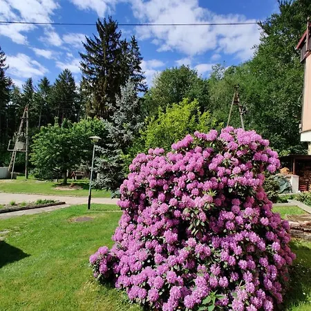 Osrodek Lesny Rajsko W Zapuscie