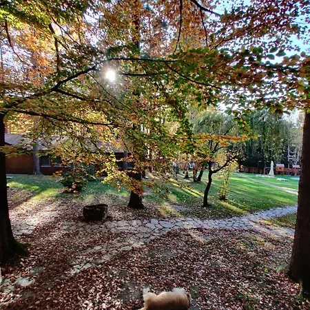 Osrodek Lesny Rajsko W Zapuscie