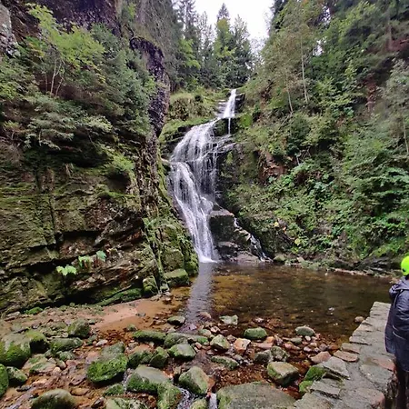 Osrodek Lesny Rajsko W Zapuscie *