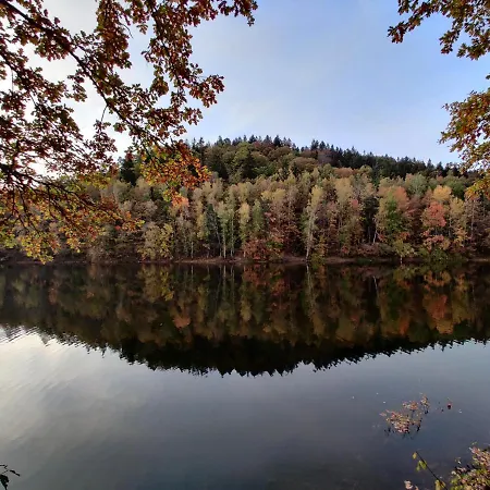 Osrodek Lesny Rajsko W Zapuscie Zapusta