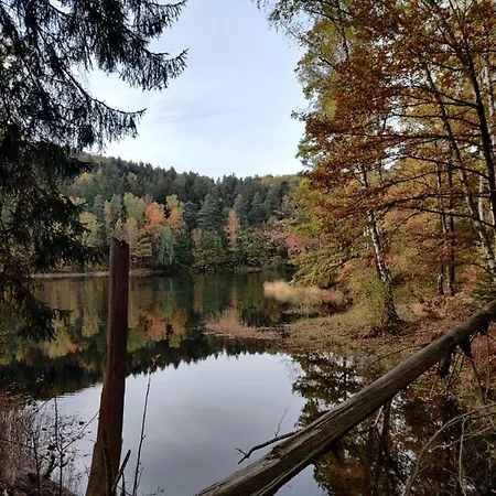 Kemping Ośrodek Leśny Rajsko W Zapuście *