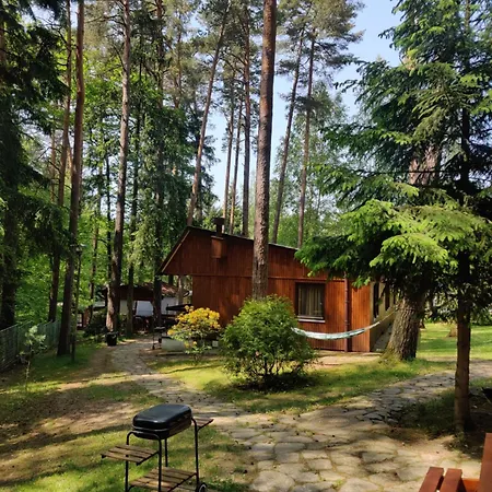 Kemping Ośrodek Leśny Rajsko W Zapuście Zapusta