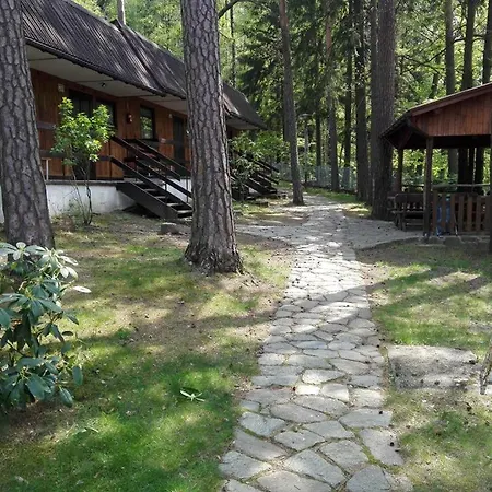 Osrodek Lesny Rajsko W Zapuscie