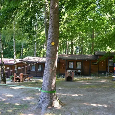 Osrodek Lesny Rajsko W Zapuscie Campeggio *