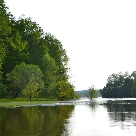 Osrodek Lesny Rajsko W Zapuscie *