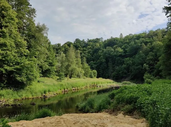Osrodek Lesny Rajsko W Zapuscie *