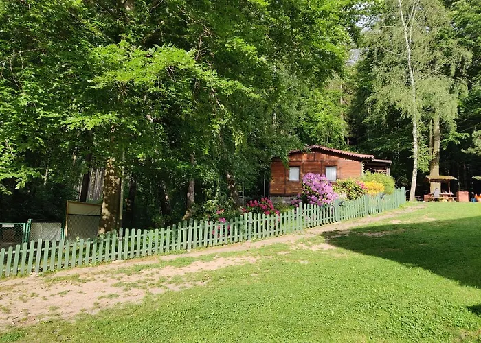 Osrodek Lesny Rajsko W Zapuscie