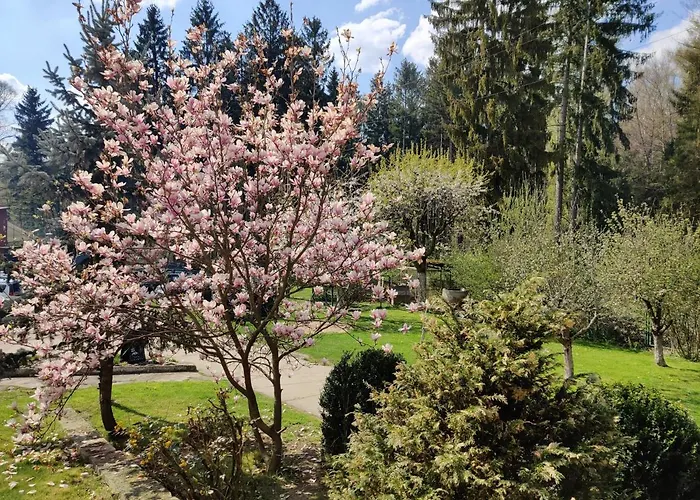 Osrodek Lesny Rajsko W Zapuscie Kamp alanı *