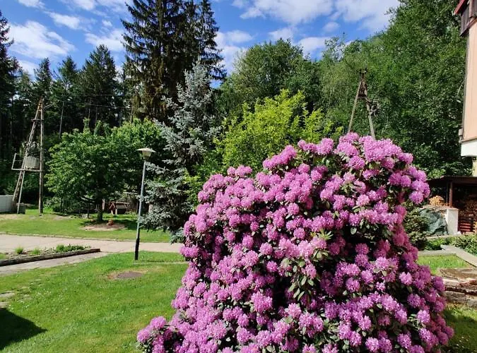 Osrodek Lesny Rajsko W Zapuscie