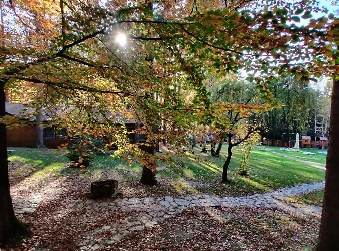 Osrodek Lesny Rajsko W Zapuscie