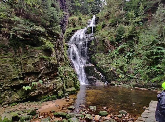 Osrodek Lesny Rajsko W Zapuscie *
