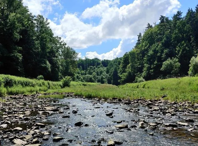 Kamp alanı Osrodek Lesny Rajsko W Zapuscie