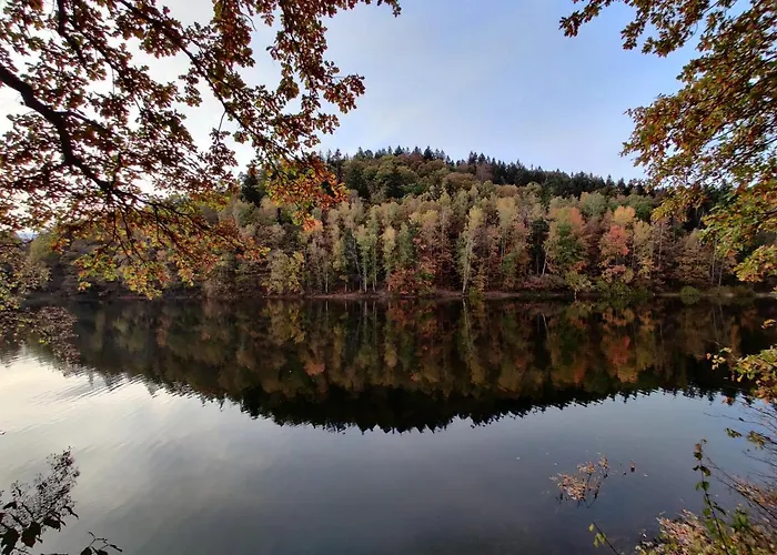 Osrodek Lesny Rajsko W Zapuscie Zapusta