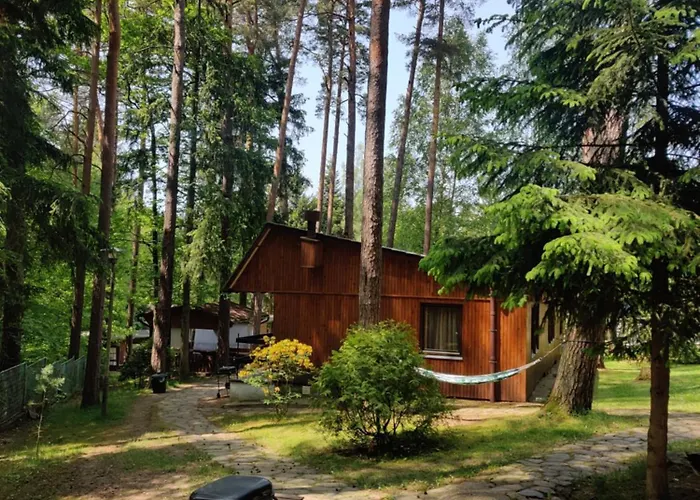 Kamp alanı Osrodek Lesny Rajsko W Zapuscie Zapusta