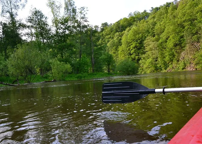 Osrodek Lesny Rajsko W Zapuscie Kamp alanı *
